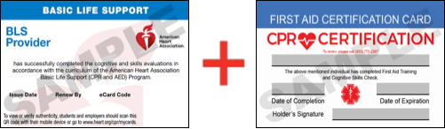 Sample American Heart Association AHA BLS CPR Card Certification and First Aid Certification Card from CPR Certification Knoxville