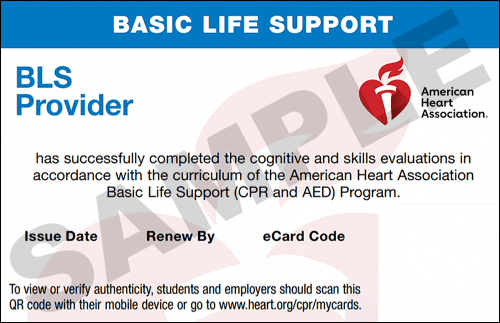 Sample American Heart Association AHA BLS CPR Card Certification from CPR Certification Knoxville