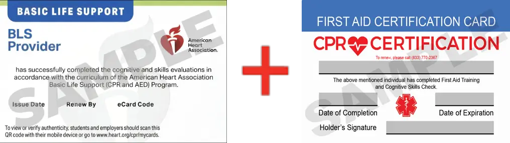 Sample American Heart Association AHA BLS CPR Card Certification and First Aid Certification Card from CPR Certification Knoxville