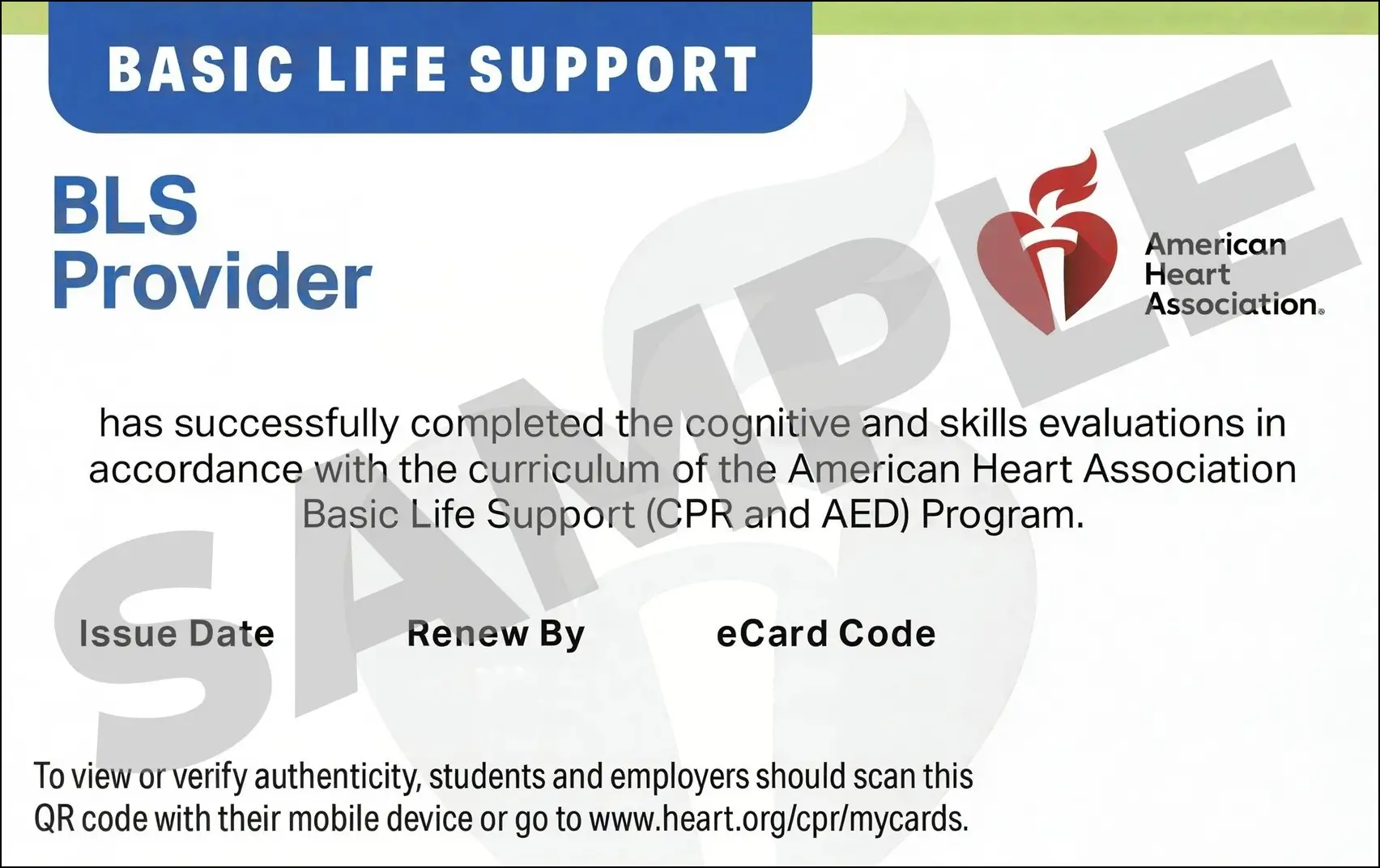 Sample American Heart Association AHA BLS CPR Card Certification from CPR Certification Knoxville